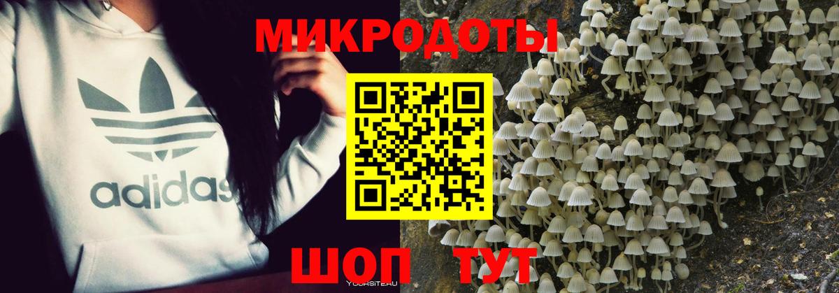 Галлюциногенные грибы Magic Shrooms Борисоглебск