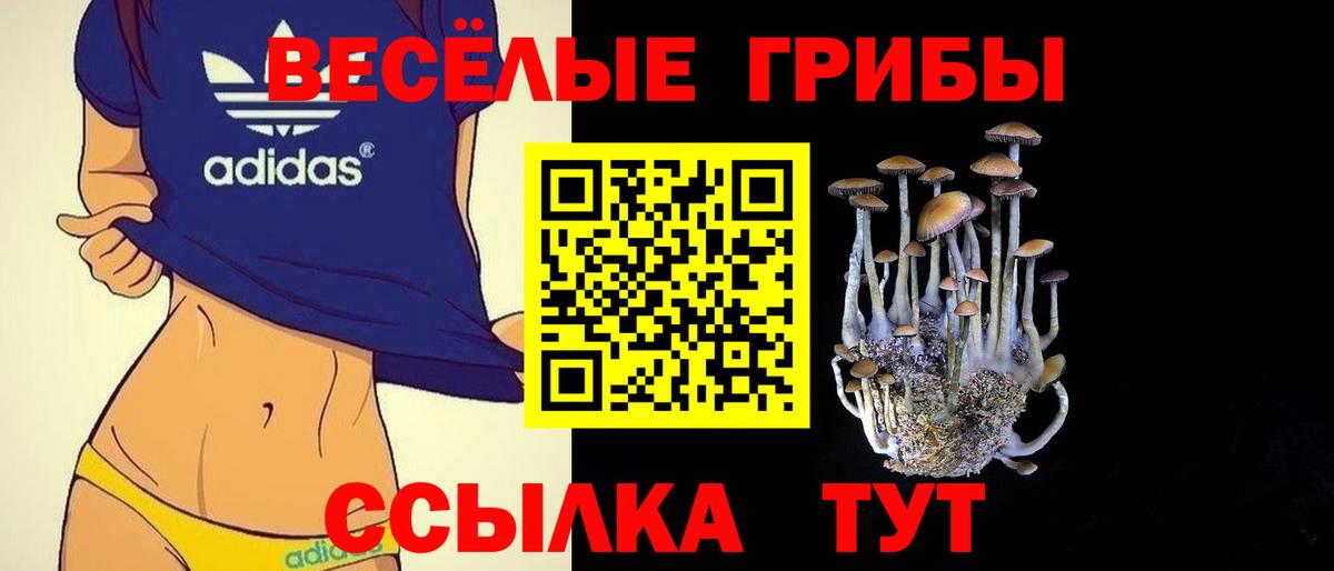 Галлюциногенные грибы Psilocybe  Вход с VPN  Борисоглебск 